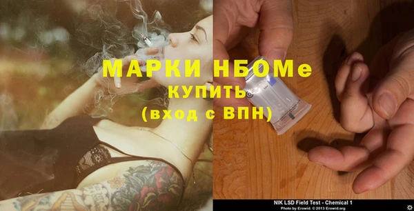 шишки Алзамай