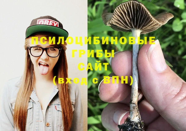 шишки Алзамай