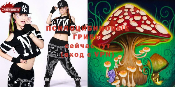 шишки Алзамай