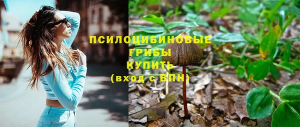PSILOCYBIN Алексеевка