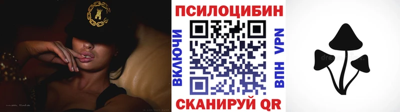 omg tor  где купить наркоту  Катайск  Псилоцибиновые грибы MAGIC MUSHROOMS 